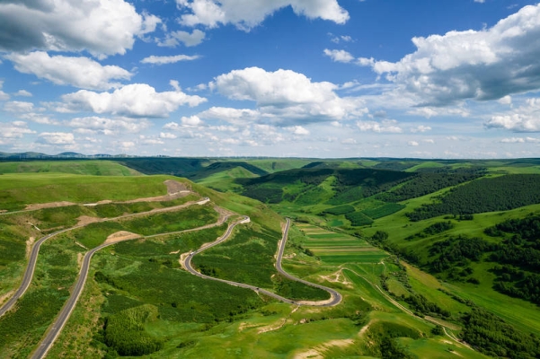 赤峰種植雞心果基地電話號碼-第1張圖片