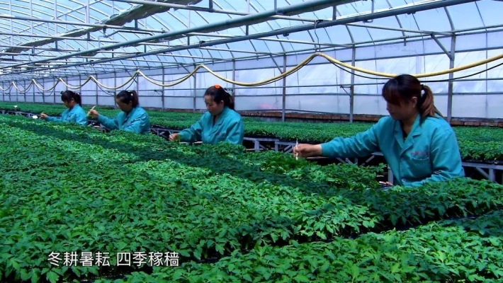 赤峰寧城蔬菜基地電話號(hào)碼-第1張圖片