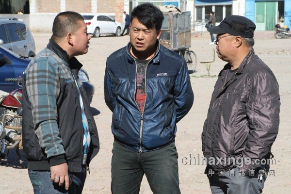 赤峰賣鴿子市場電話號碼多少-第1張圖片