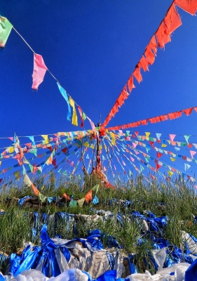 赤峰遮陽(yáng)布廠家直銷電話號(hào)碼-第1張圖片