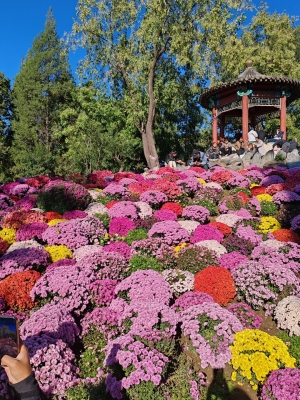 赤峰花開(kāi)滿(mǎn)園春餅店電話(huà)號(hào)碼-第1張圖片