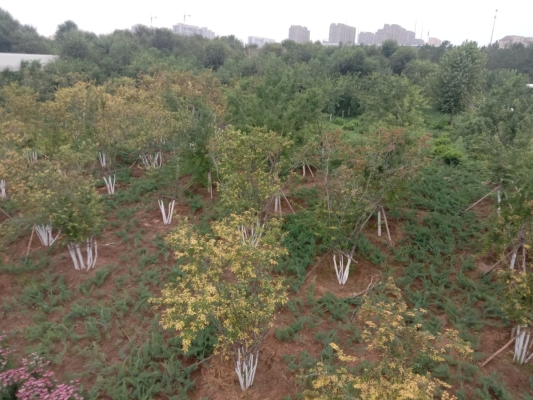 赤峰動物園熱線電話號碼-第1張圖片