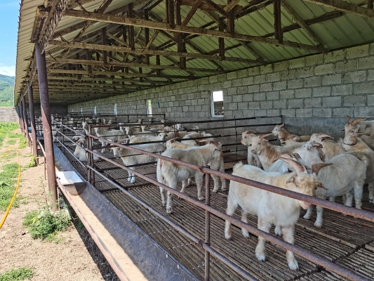 赤峰養(yǎng)殖場(chǎng)-第1張圖片