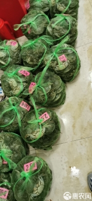 赤峰大閘蟹批發(fā)電話號(hào)碼查詢-第1張圖片