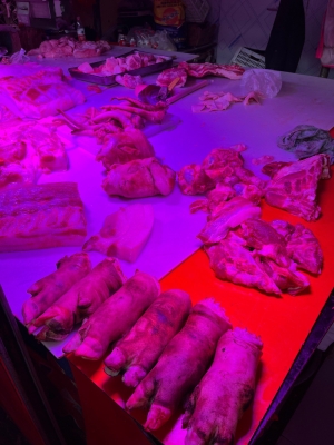 赤峰獸藥批發(fā)市場-第1張圖片