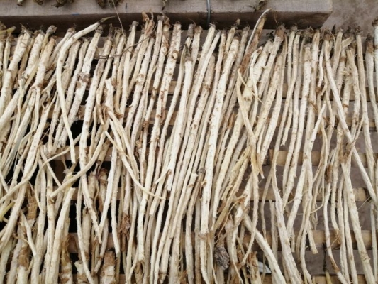 赤峰柴火批發(fā)電話地址在哪里-第1張圖片