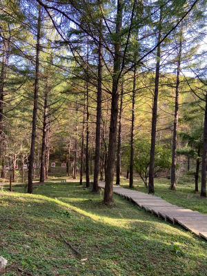 赤峰狗狗寄養(yǎng)酒店電話號(hào)碼多少-第1張圖片