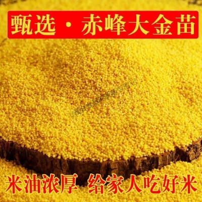 赤峰內(nèi)蒙小米專賣店電話號(hào)碼-第1張圖片