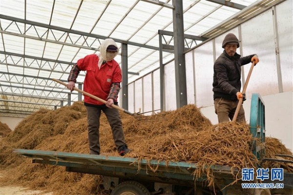 赤峰中藥藥材店鋪電話地址查詢-第1張圖片