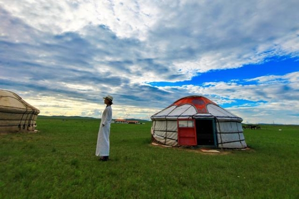 赤峰羊駝清洗公司電話地址查詢-第1張圖片