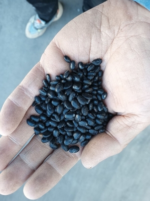 赤峰出售山坡地磚電話號碼-第1張圖片