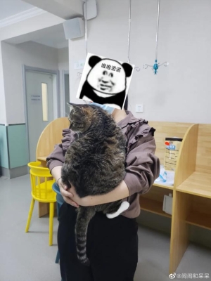 赤峰送水貓電話號(hào)碼查詢-第1張圖片