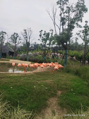 赤峰市海龍家庭牧場(chǎng)電話號(hào)碼-第1張圖片
