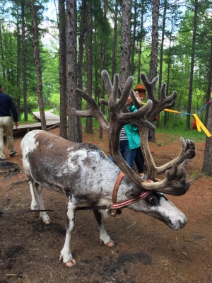 赤峰拼車回呼倫貝爾電話是多少-第1張圖片