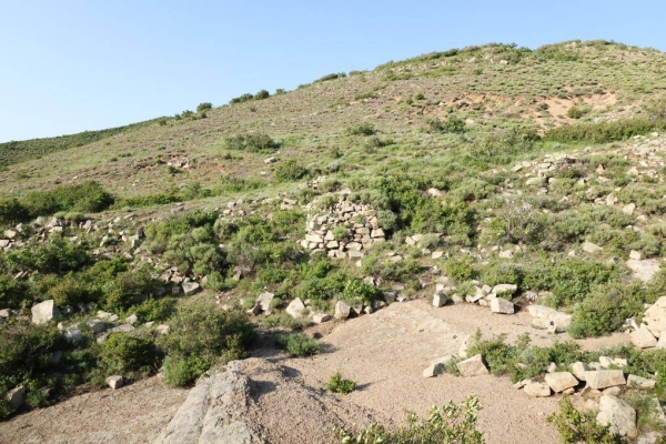 赤峰蒙帝酒館電話號碼多少-第1張圖片