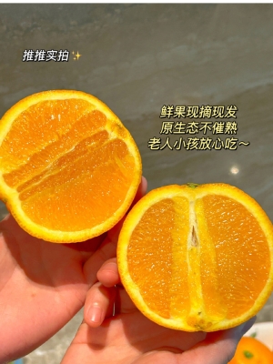 赤峰下酒菜團(tuán)購群電話號(hào)碼-第1張圖片