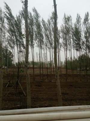 赤峰到大碾子的班車電話號碼-第1張圖片