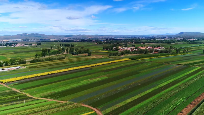 赤峰市種兔廠地址電話號碼-第1張圖片
