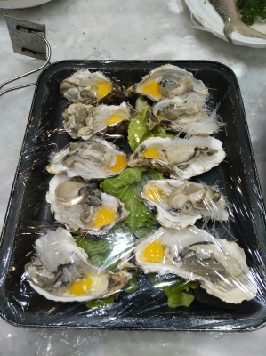 赤峰寧城撈魚電話號碼多少號-第1張圖片