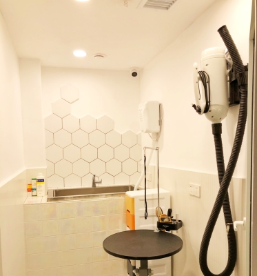 赤峰市寵物美容館電話號(hào)碼-第1張圖片