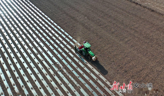 赤峰裕隆玉米制種場(chǎng)電話號(hào)碼-第1張圖片