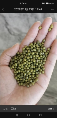 赤峰綠豆產(chǎn)業(yè)園電話地址查詢-第1張圖片