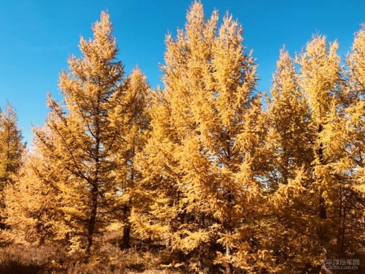 赤峰南臺(tái)子屬于哪里-第1張圖片