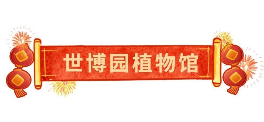 赤峰植物園冰雪樂園電話號碼-第1張圖片