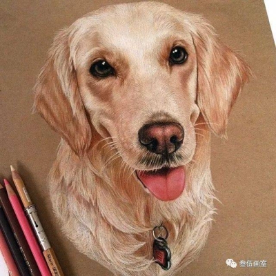 赤峰盒馬畫室電話多少號-第1張圖片