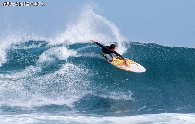 赤峰海貝兒海洋館電話號(hào)碼-第1張圖片