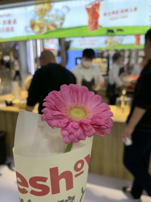 赤峰敖漢寵物市場電話號碼-第1張圖片