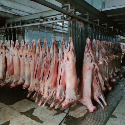 赤峰屠宰牛羊廠電話號(hào)碼-第1張圖片