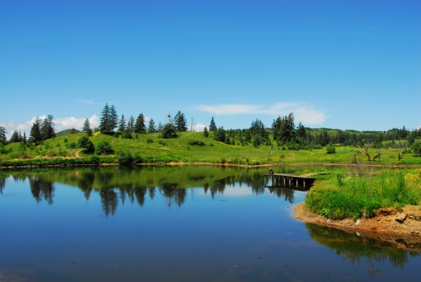 白音塔拉赤峰客車-第1張圖片