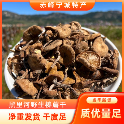 赤峰寧城井灌管廠電話地址查詢-第1張圖片