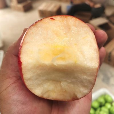 赤峰寧城嘎啦果園電話多少號-第1張圖片