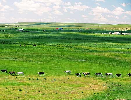 北京到內(nèi)蒙赤峰順風(fēng)車電話號碼-第1張圖片