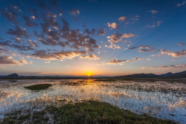 赤峰繁星牙醫(yī)電話號碼多少號-第1張圖片
