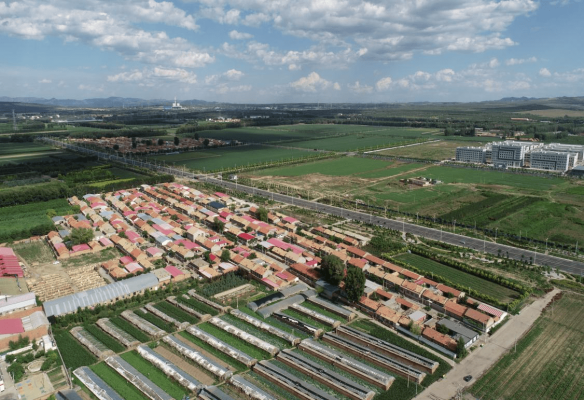 赤峰紅山送菜電話多少號(hào)碼-第1張圖片