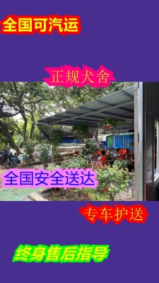 赤峰市薩摩耶犬舍電話號碼-第1張圖片