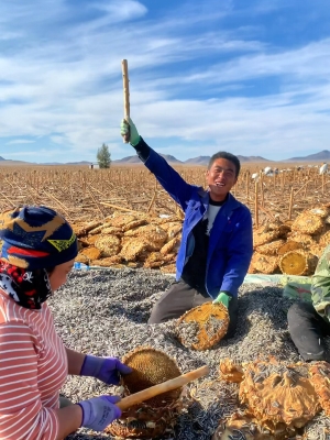 赤峰人收瓜子電話是多少號-第1張圖片