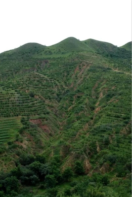 赤峰喇叭山雷達(dá)站電話號(hào)碼-第1張圖片