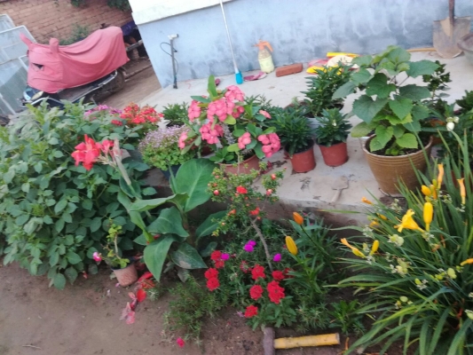 赤峰王家店社區(qū)電話號碼是多少-第1張圖片