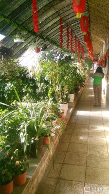 赤峰餐廳電話號(hào)碼多少號(hào)啊-第1張圖片