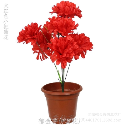 赤峰清明花批發(fā)廠家電話多少-第1張圖片