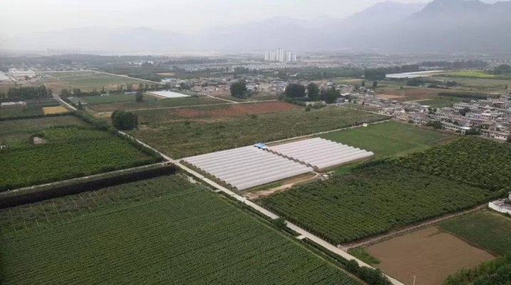 赤峰市莊園農(nóng)資店電話號碼-第1張圖片