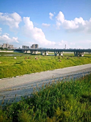 赤峰煦誠(chéng)櫻桃酒店電話號(hào)碼-第1張圖片