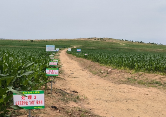 赤峰碎玉米供應(yīng)商電話號碼-第1張圖片