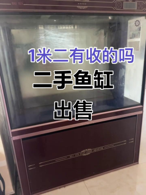 赤峰閑置魚缸架廠家電話號碼-第1張圖片