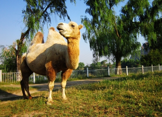 三生攝影赤峰店電話多少-第1張圖片