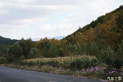 赤峰出售樹林電話地址是多少號-第1張圖片